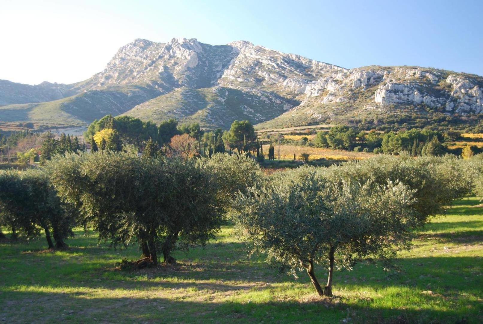 Apartament Sous Le Soleil Des Alpilles Mouries Zewnętrze zdjęcie