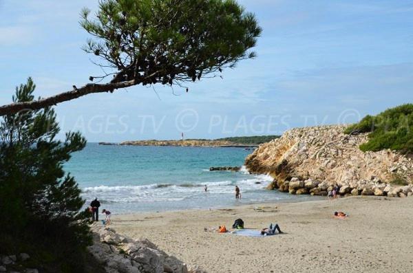 Apartament Sous Le Soleil Des Alpilles Mouries Zewnętrze zdjęcie
